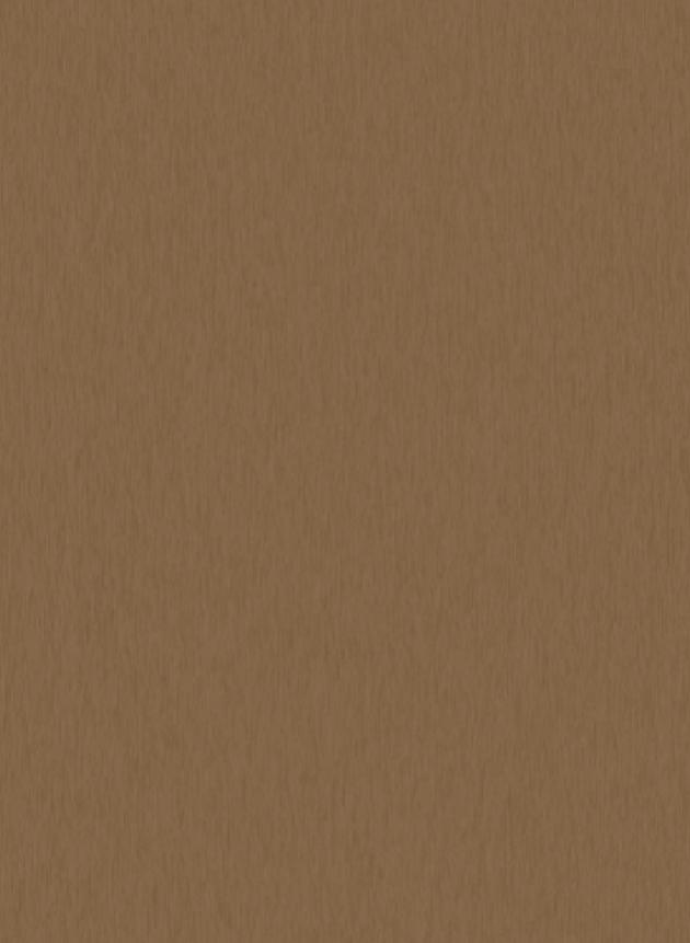 PC9651K 古銅  (金屬系列)<br/>/原廠色號：<font color=red>8AR</font> 1