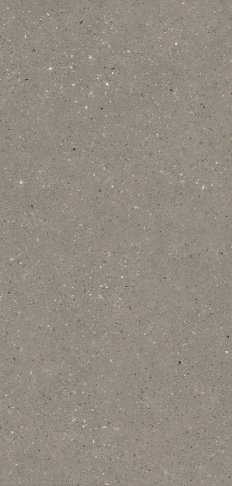 PA8767 棕抿石 NEW 1